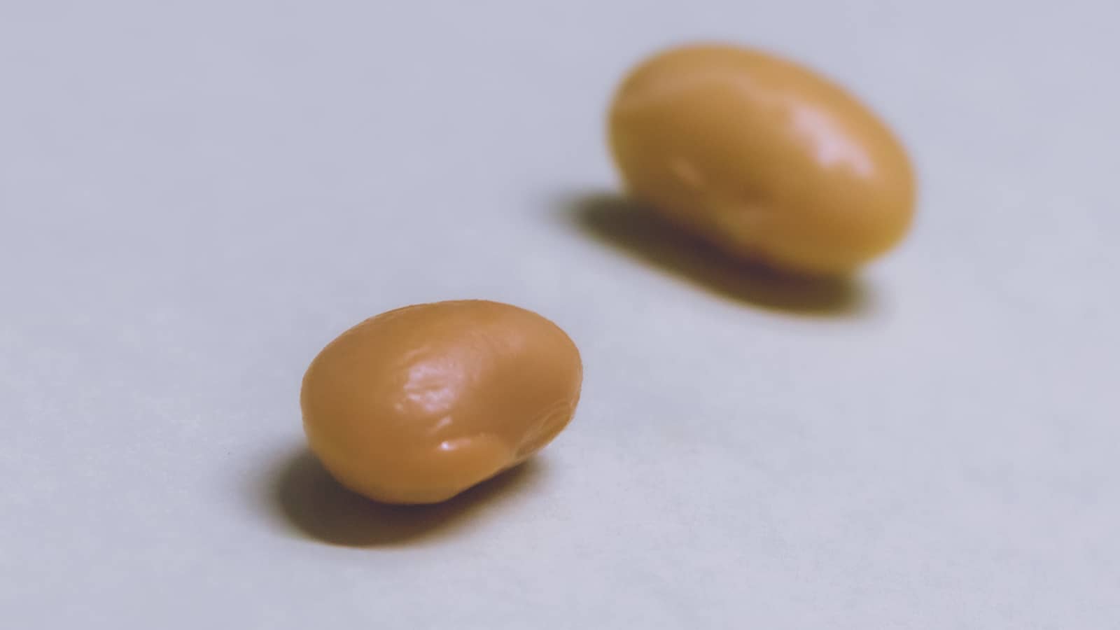 お味噌の原料大豆材料選び
